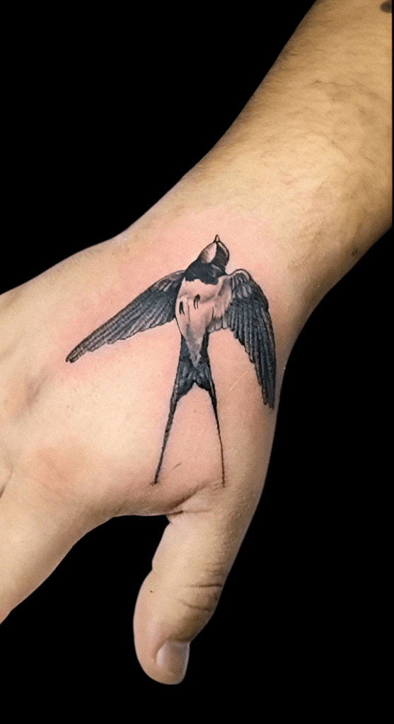 innombrablecaleuche4